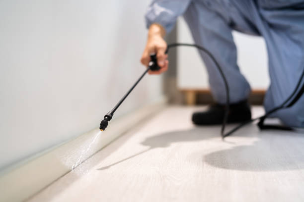 Licensed Ant Control service in Stanaford, WV - Show Me Pest Control